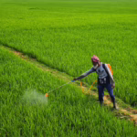 Lignosulfonate is used as an additive in pesticide formulations