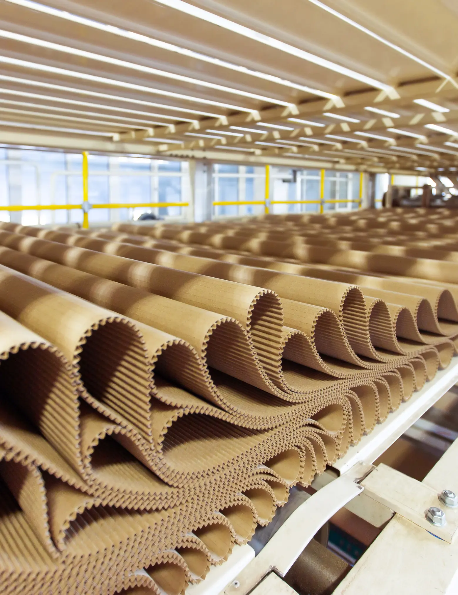 Lignosulfonate is used in paperboard production