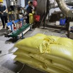 Bagging line filling 25 kg bags of lignosulfonate powder